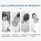Gối massage hồng ngoại SA-L16 16 bi dùng tại nhà và trên ô tô C150