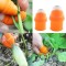Ngón cái bấm cắt rau củ, nạo gọt tiện lợi chống bẩn móng tay S215