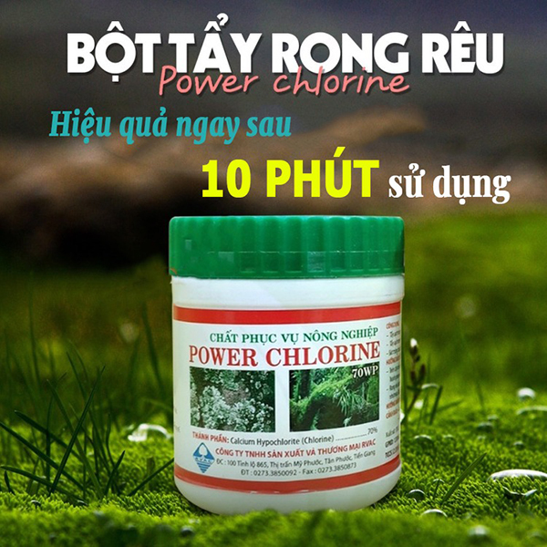 Lọ tẩy rong rêu, nấm mốc hiệu quả an toàn