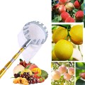 Dụng cụ hái trái cây trên cao có thể điều chỉnh kích thước BA664, Loại 3m