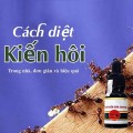 Thuốc diệt kiến gián sinh học Anbio hiệu quả - 10ml N106, 1 lọ