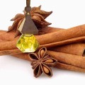 Tinh dầu thơm treo xe ô tô khử mùi hiệu quả, an toàn P180