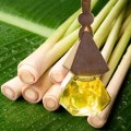 Tinh dầu thơm treo xe ô tô khử mùi hiệu quả, an toàn P180