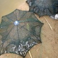 Lưới bắt cá bát quái dã ngoại tự bung hữu dụng N140