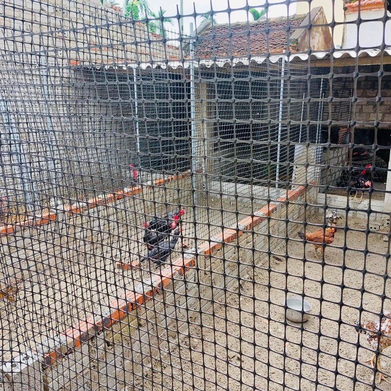 Lưới rào nhựa dẻo nguyên sinh cao cấp