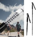 Gậy leo núi, trekking rừng núi chuyên dụng 