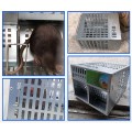 Bẫy chuột tự động tiêu chuẩn bạc kích thước lớn cửa đôi an toàn cao BA910