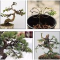 Dây nhôm đen chuyên dùng uốn cây bonsai, cây cảnh BA947, Loại 4mm