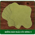 Hộp 12 miếng dán thảo dược đau mỏi thắt lưng, thoái hóa cột sống BA1008