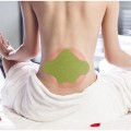 Hộp 12 miếng dán thảo dược đau mỏi thắt lưng, thoái hóa cột sống BA1008