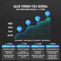 Máy đuổi chuột bằng sóng siêu âm thông minh 2 loa cao cấp BA1081