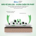 Dung dịch tẩy mốc tường smart 500ml tiện lợi BA1082
