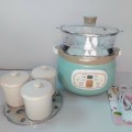 Nồi nấu chậm 8 chức năng Bennix BN-22CWG