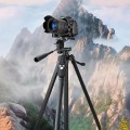 Chân giá đỡ điện thoại, máy ảnh Tripod 3366 hỗ trợ chụp ảnh chuyên nghiệp Y139