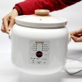 Nồi nấu chậm điện tử đa năng Bennix BN-30SLC