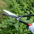 Kéo cắt tỉa cành cây, cây cảnh hàng rào S116