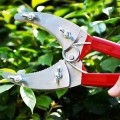 Kéo khoanh vỏ chiết cành lưỡi kép cao cấp S117