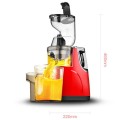 Máy ép trái cây tốc độ chậm Hongxin RH-312
