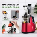 Máy ép trái cây tốc độ chậm Hongxin RH-312