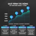 Máy đuổi chuột bằng sóng siêu âm Mifan