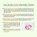 Tinh dầu tràm gió Ecocare 
