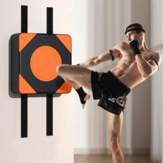 Đích đấm đá treo tường tập boxing