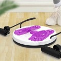  Đĩa xoắn eo tập thể dục 