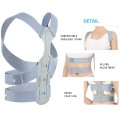 Đai chống gù lưng cải thiện cột sống người lớn C141, Size S
