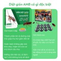 Viên diệt gián sinh học AMB hộp 8 viên hiệu quả, nhanh chóng BA1208