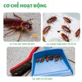 Viên diệt gián sinh học AMB hộp 8 viên hiệu quả, nhanh chóng BA1208