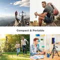 Tripod 3120 chụp ảnh cho điện thoại, máy ảnh mang đi du lịch BA1225