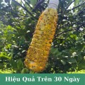 Bẫy ruồi vàng chai 750ml thế hệ mới BA1322