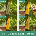 Bẫy ruồi vàng chai 750ml thế hệ mới BA1322