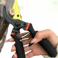 Kéo cắt cây cảnh Nhật SK5 cắt cành trên cao BA1315