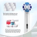 Bàn chải đánh răng điện Oral-B 5 đầu chải BA1361, Màu xanh ngọc