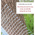 Chổi thép cào lá làm vườn gấp gọn 15 răng đa năng BA1438