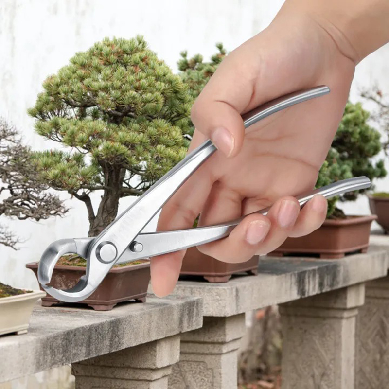 Kìm cạp tròn 21cm cắt tỉa cây cảnh, bonsai chuyên dụng BA1439