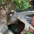Kìm cạp tròn 21cm cắt tỉa cây cảnh, bonsai chuyên dụng BA1439