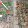 Dụng cụ rải phân bón hỗ trợ bón phân hiệu quả hơn BA1437