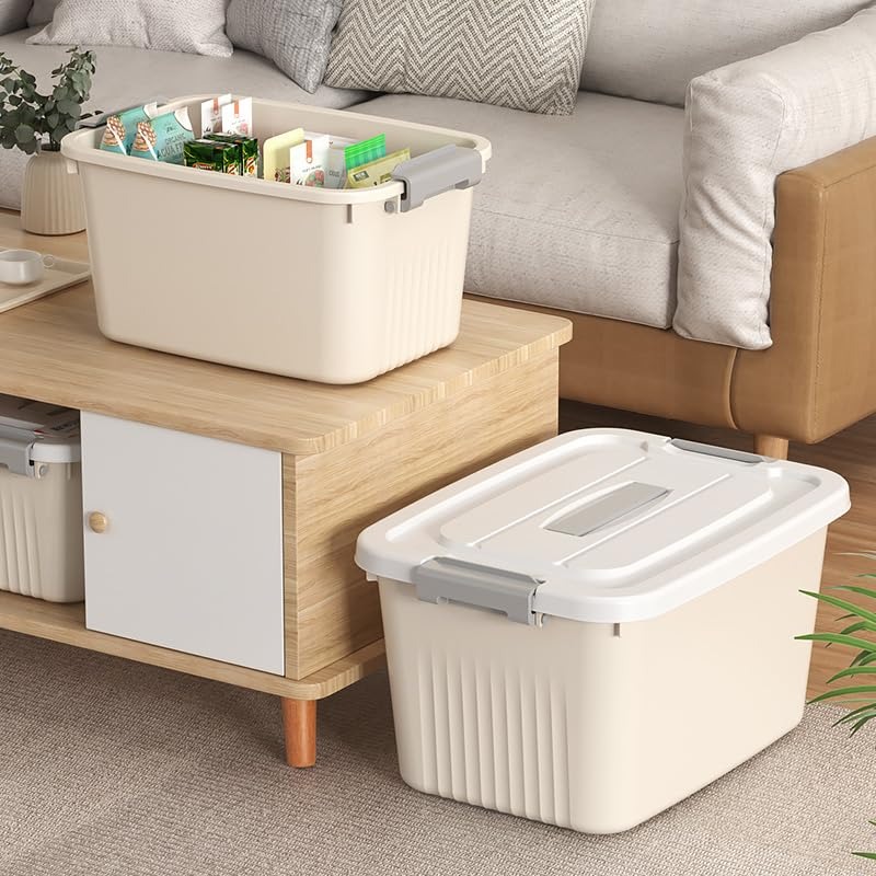 Hộp đựng đồ dung tích lớn chuyên lưu trữ, sắp xếp đồ dùng gia đình BA1488