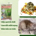 Combo 5 gói diệt chuột sinh học Broma 0,005AB 50g an toàn BA1448