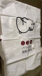Trịnh Mỹ Lệ