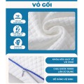 Gối cao su non công thái học chống đau cổ vai gáy, hỗ trợ chống trào ngược BA1575, Size M