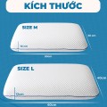 Gối cao su non công thái học chống đau cổ vai gáy, hỗ trợ chống trào ngược BA1575, Size M