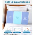 Gối cao su non công thái học chống đau cổ vai gáy, hỗ trợ chống trào ngược BA1575, Size M