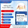 [Combo 2 hộp 12 miếng] Miếng dán tan mỡ thừa bụng, bắp tay chân BA1563