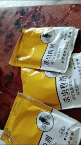 Đinh Phương Thảo