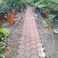 Combo 10 khung vòm sợi thủy tinh phi 4mm siêu bền dùng làm khung vòm phủ nilong BA1610, Dài 2m