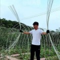 Combo 10 khung vòm sợi thủy tinh phi 4mm siêu bền dùng làm khung vòm phủ nilong BA1610, Dài 2m