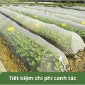 Combo 10 khung vòm sợi thủy tinh phi 4mm siêu bền dùng làm khung vòm phủ nilong BA1610, Dài 2m